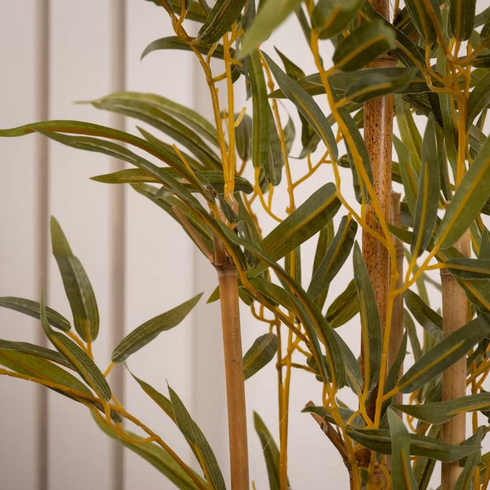 Scottish Everlastings Ltd Green Bamboo Tree with Rattan Details, Height: 90 cm – 3