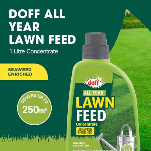 Doff All Year Lawn Feed Concentrate 1L Liquid Seaweed Enriched Plant Tonic for Healthy Green Grass – 2