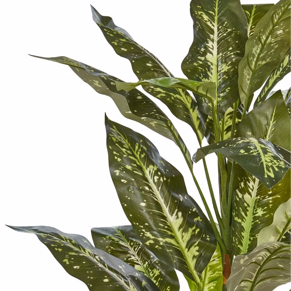 Wyld and Coco Artificial Potted Dieffenbachia Green and Black, Height: 110 cm – 3