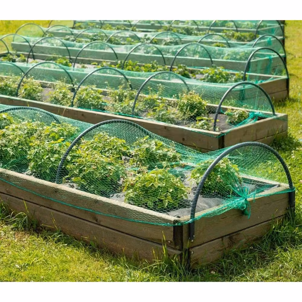 SPETLEK Green Bird Netting for Crops and Fruit, 2 x 10m – 4