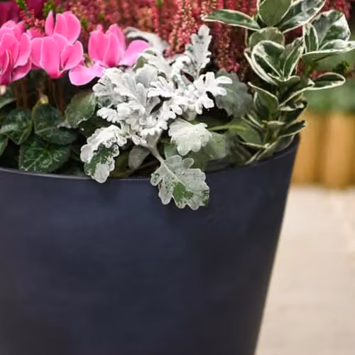 Garden Gear Dark Grey Stone Effect Planter for Indoor and Outdoor Use, Diameter: 30.5 cm, Height: 25.5 cm – 3