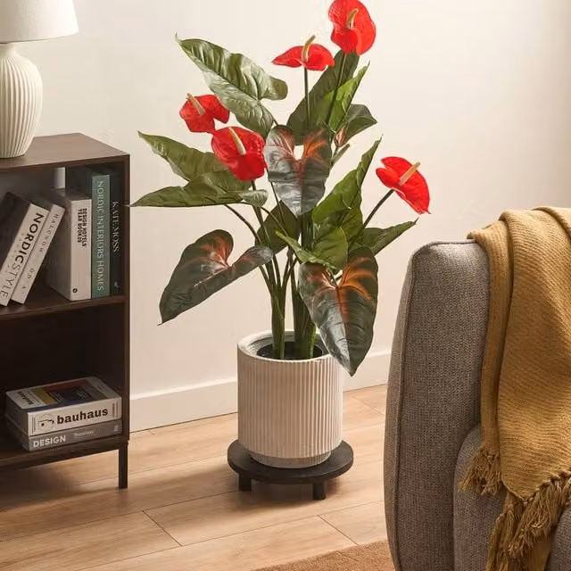 Wyld and Coco Artificial Anthurium Green Plant in Concrete Pot, Height: 95 cm – 1
