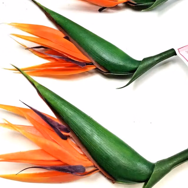 Blue Frog Toys 3 Large Orange and Purple Bird of Paradise Flower Stems