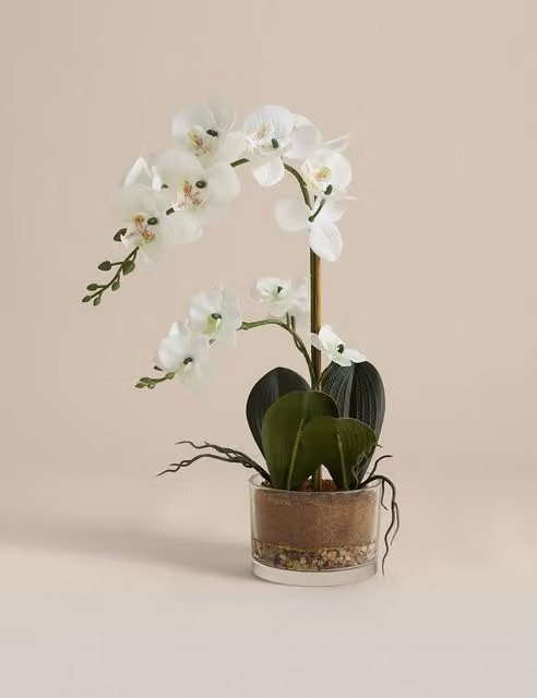 M&S Artificial White Medium Orchid in a Transparent Glass Pot