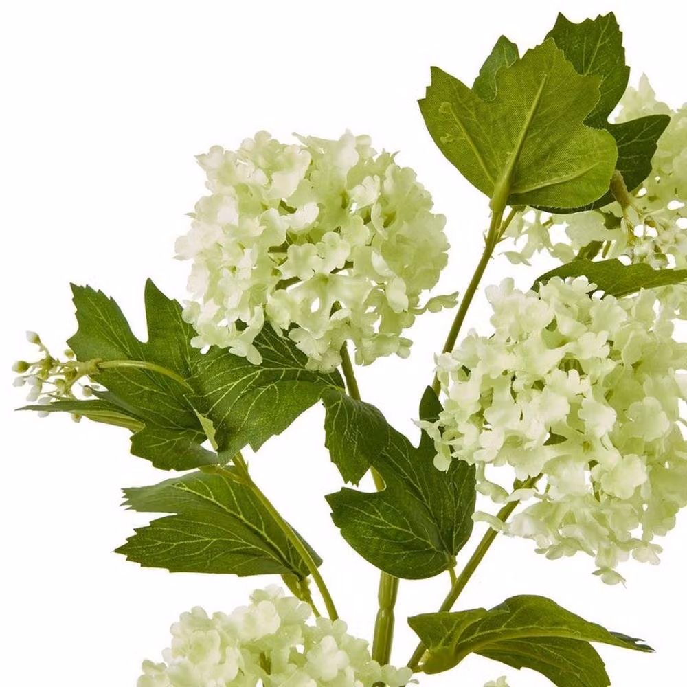 Lemon Pavilion Furniture and Decor Snowball Viburnum Spray Single Stem Flower, Green and White, Height: 77 cm – 2
