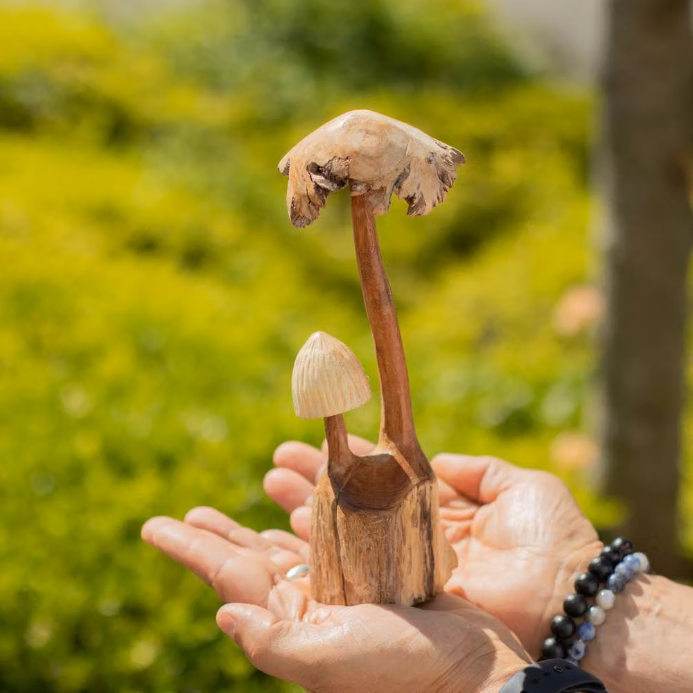 Serenityy Handmade Parasite Wood Mushroom Carving Set of Two in Natural Brown – 2