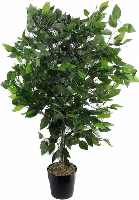 Dyzi Green Artificial Bushy Leaf Tree in Plastic Pot, Height: 90 cm