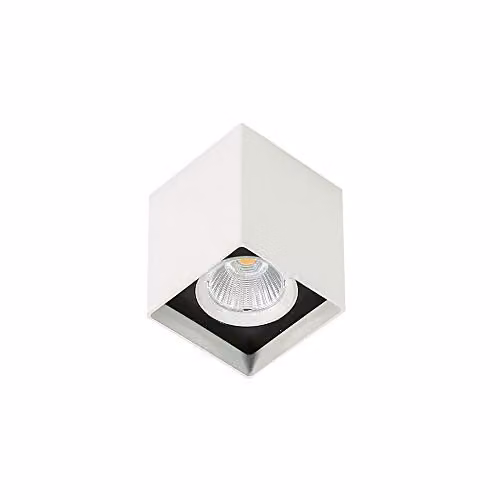 Netlighting Modern Square LED Surface Mounted Downlight in White and Black, 3000K Warm White, 1010lm