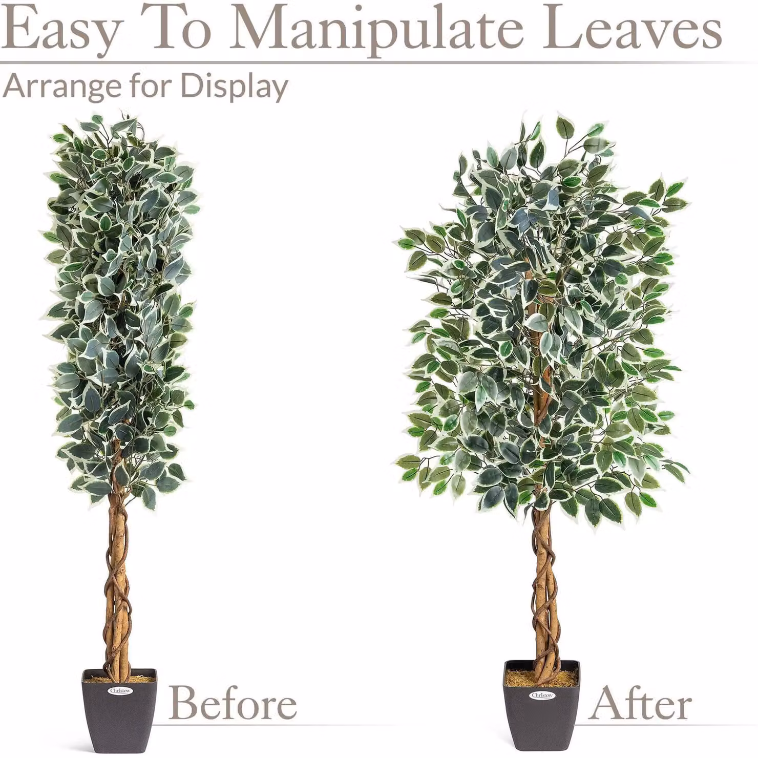 Christow Artificial Variegated Ficus Tree, Realistic Faux House Plant in Green, Height: 150 cm – 6