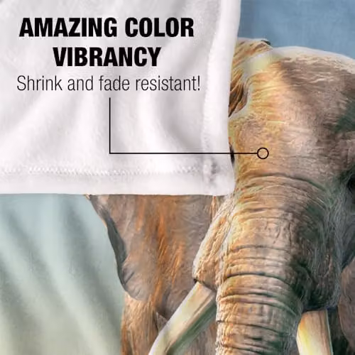 JQ Licensing Royce Mcclure Charging Elephant Super Soft Silky Touch Throw Blanket, White, W/D/H: 152 x 127 cm – 3
