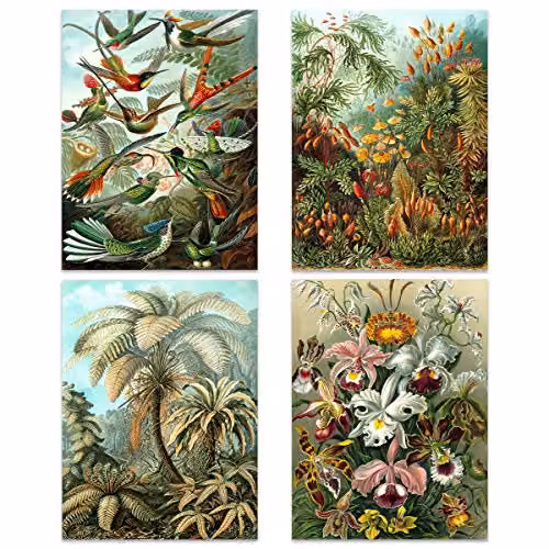 Artery8 Ernst Haeckel Kunstformen Der Natur Biology Art Print Poster Pack of 8, Multicolour Nature and Sea Life Illustrations – 2