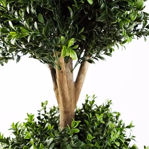 Botanik Realistic Artificial Potted Topiary Tree in Green, H 120 cm x W 40 cm x D 40 cm – 2