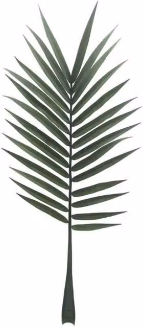 KDMD Botanica Modern Green Palm Leaf, Height: 127 cm