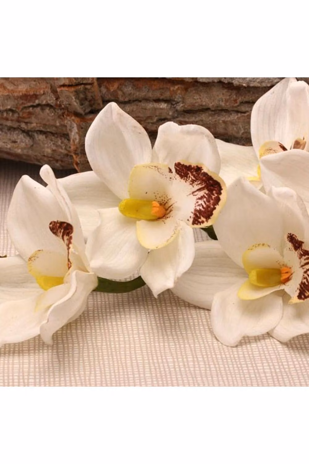 KDMD Real Touch Large White Cymbidium Orchid, Height: 91.44 cm – 2