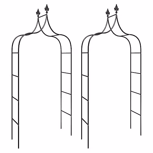 vidaXL Set of 2 Black Steel Garden Arches for Climbing Plants, W/D/H: 120 x 38 x 260 cm – 1
