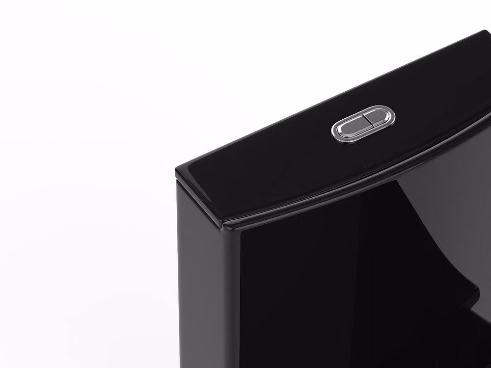 Vente-unique NAGILAM Gloss Black Ceramic Floor-Standing WC with Vertical Outlet and Soft-Close Seat, H 78.5 x W 39.0 x D 69.0 cm – 4