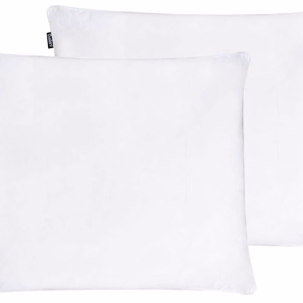 Wyld Haus Set of 2 White Firm Down and Feather Pillows, W/D/H: 40 x 60 cm – 2