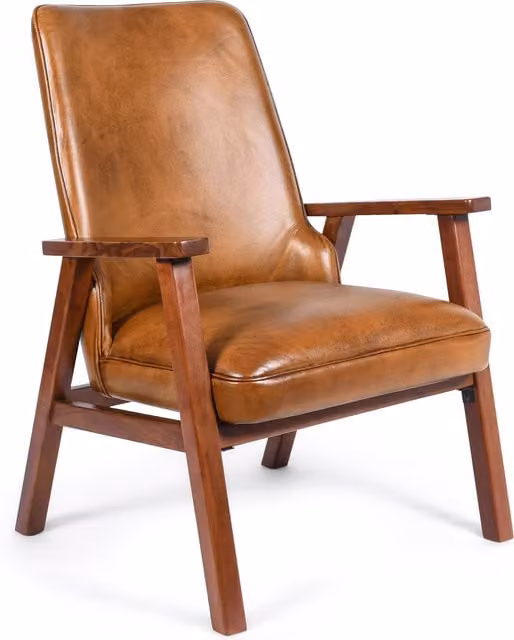 Elm Home And Garden Modern High Back Genuine Leather Accent Armchair with Armrests in Brown