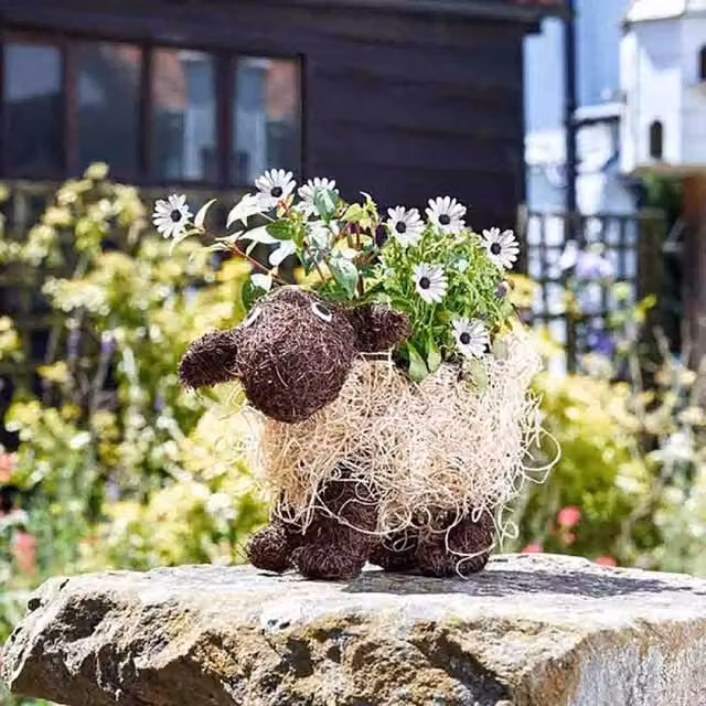 Marco Paul 3pc Rattan Sheep Flower Planter Set in Beige