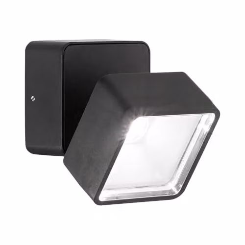 Netlighting Omega Square Single Spotlight in Black, IP54, 4000K