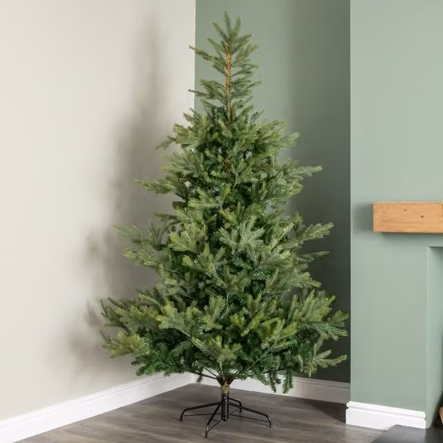 Everlands Green Grandis Fir Real Look Christmas Tree, Height: 210 cm