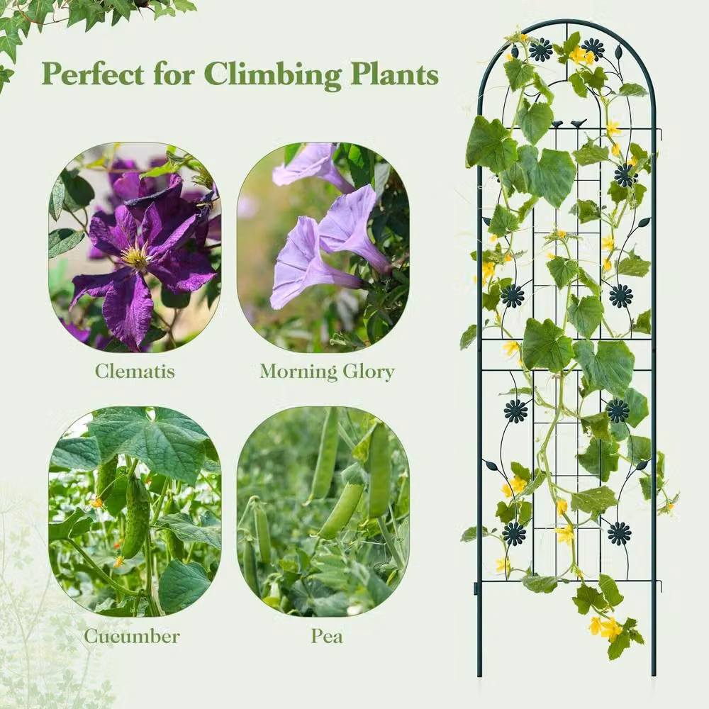 Costway 2 Pack Metal Garden Trellis Plant Support for Climbing Plants in Green, H 220 cm x W 50 cm – 4