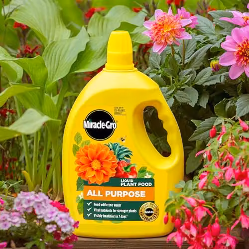 Miracle-Gro All Purpose Liquid Plant Food and Tonic, 2.5l – 2