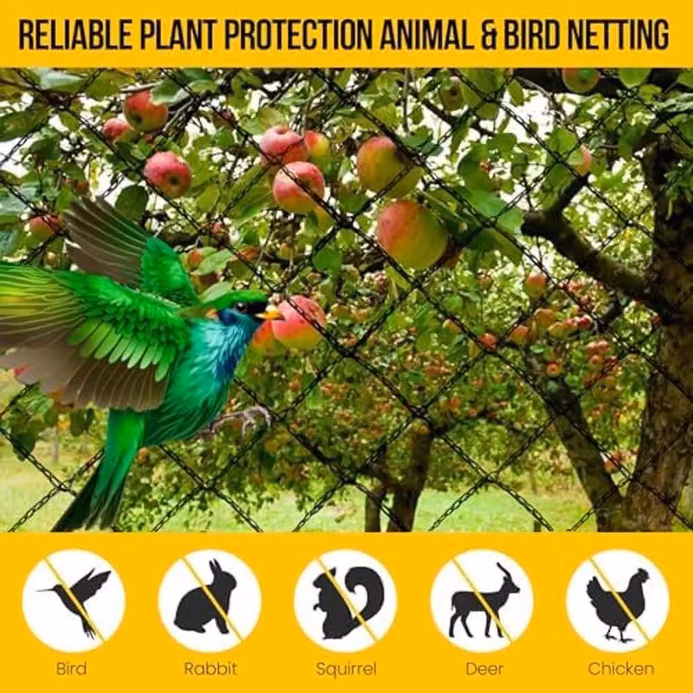 Spetlek Heavy Duty Black Garden Bird Netting Mesh for Vegetable and Ornamental Gardens, 2 m x 10 m – 4