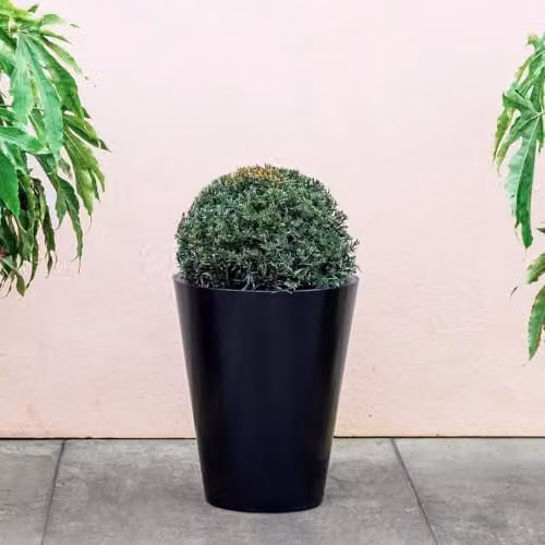 Primrose Black Galvanised Steel Cone Flared Garden Planter with Drainage, Diameter: 40 cm – 1