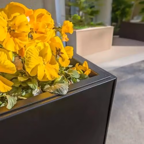 Access Garden Products Galvanised Steel Trough Planter, Matte Black, W: 25 cm, D: 75 cm, H: 90 cm – 4