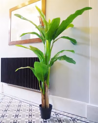 Leaf Design UK 180cm Artificial Banana Plant Tropical Green Tree