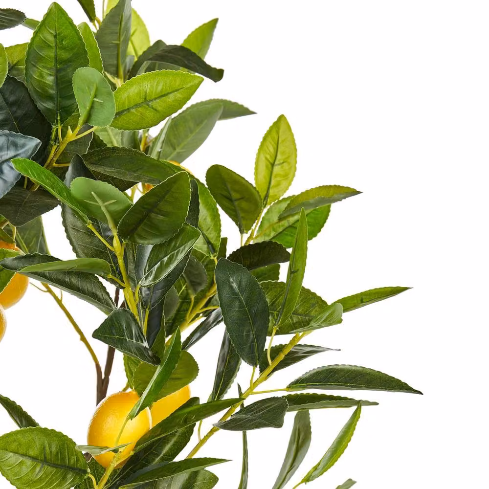 Wyld and Coco Artificial Citrus Tree with Concrete Base in Green and Yellow, Height: 105 cm – 3