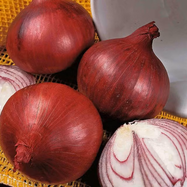Marshalls Garden Red Baron F1 Extra-Large Red Onion Seeds, Approx 350 Seeds