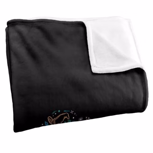LOGOVISION Harry Potter Back to Hogwarts Super Soft Fleece Throw Blanket, Multicolour, W: 91.44 cm x L: 147 cm – 2