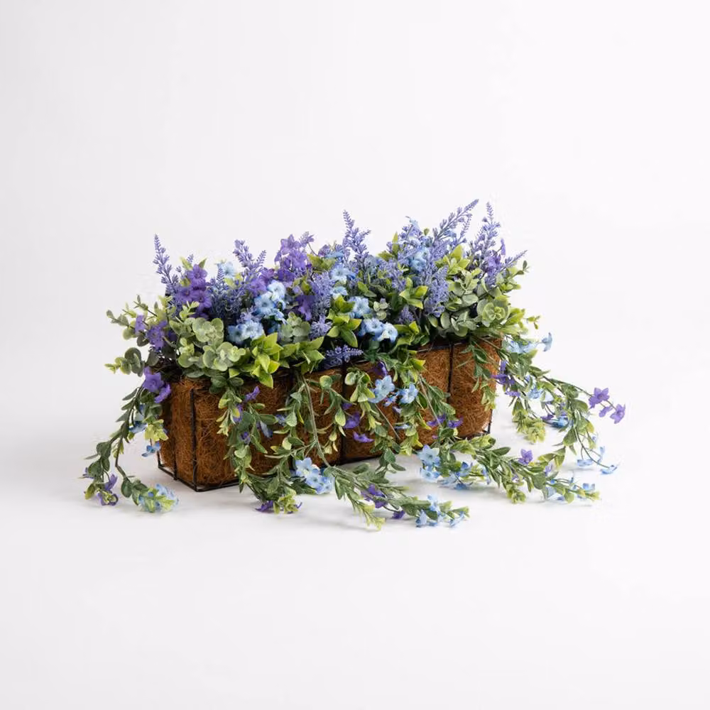 Scottish Everlastings Ltd Mixed Multicolour Trailing Outdoor Window Hanging Trough, 55 cm – 3