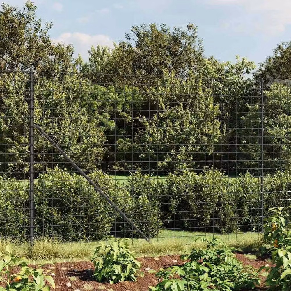 Berkfield Home Durable PVC-Coated Wire Mesh Fence with Spike Anchors, Anthracite Black, 1.6 x 25 m – 1