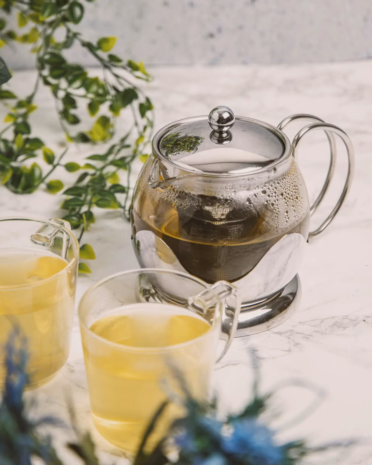 La Cafetiere Glass Loose Leaf Teapot with Infuser in Silver and Transparent – 3