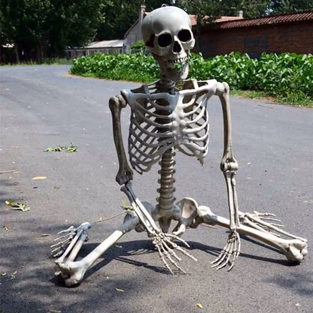 FLAVORA Poseable Full Life Size Human Skeleton in White, W/D/H: 100 x 15 x 15 cm – 2