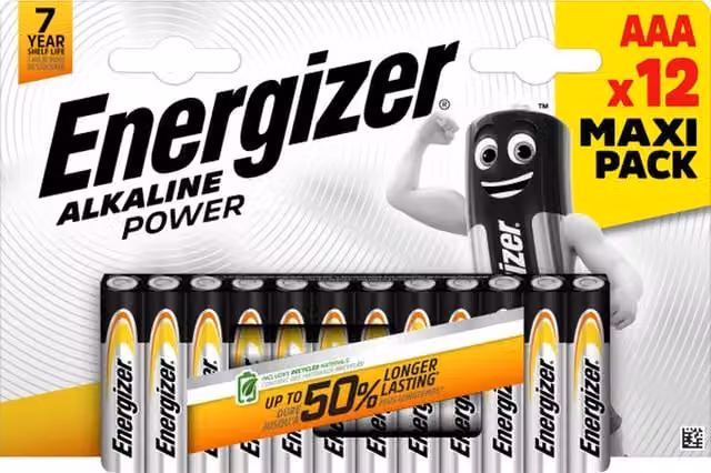 Energizer AAA Alkaline Batteries, Pack of 12, Silver