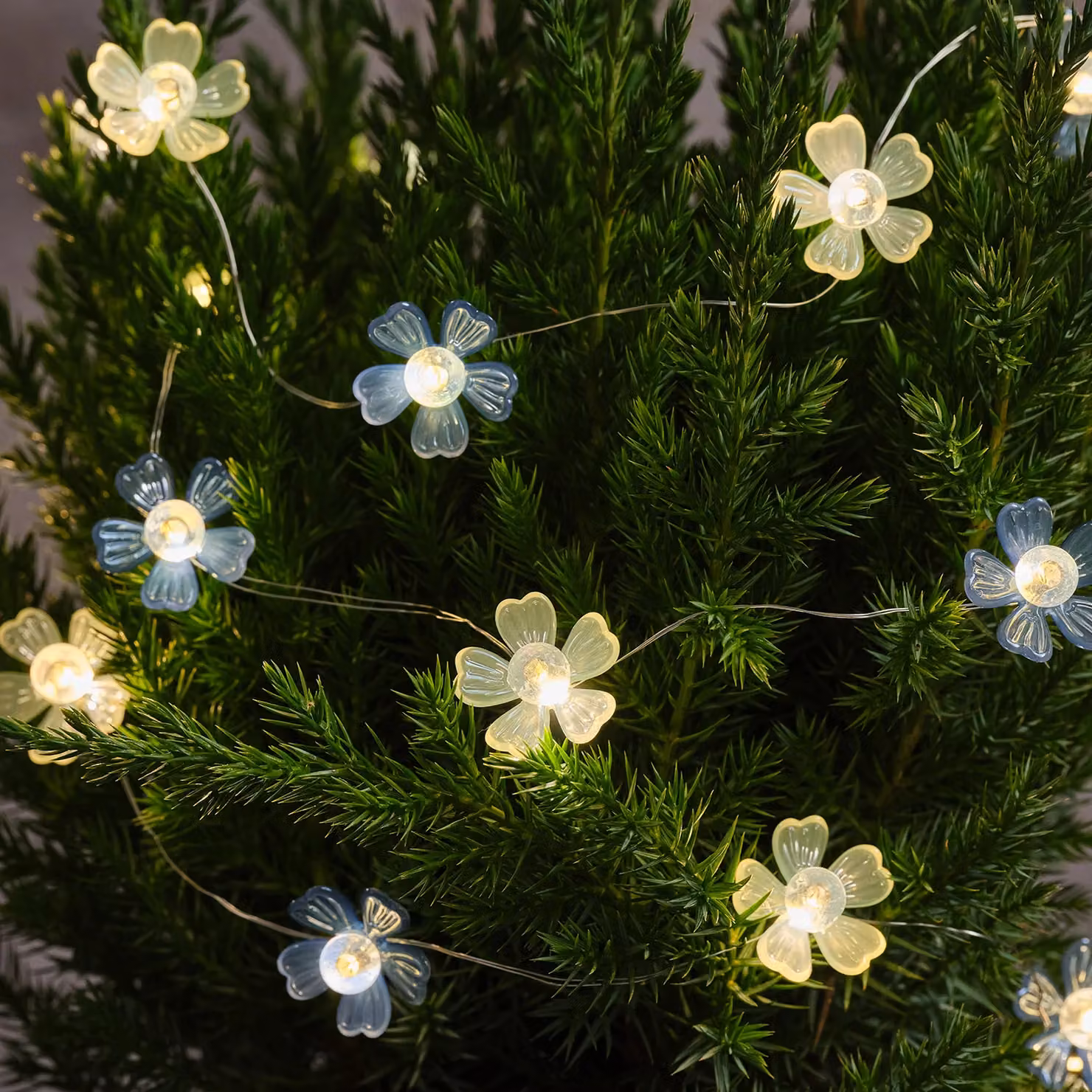 Lights4fun Blue Haze Flower Outdoor Battery LED Micro Lights in Warm White with Timer