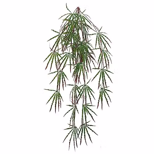 Leaf Design Green Artificial Hanging Acer Plant, 100 cm