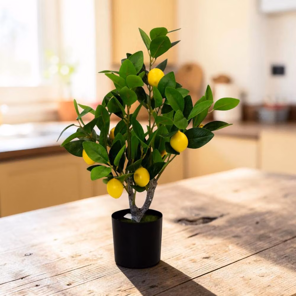 Four Candle Small Potted Artificial Mediterranean Lemon Tree in Green, Height: 60 cm – 2