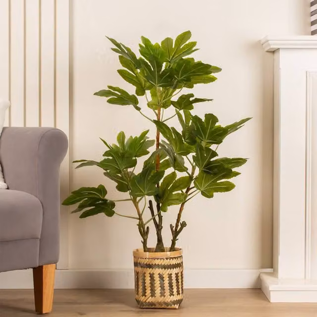 Scottish Everlastings Ltd 90cm Green Fig Tree in a Rattan Bamboo Basket – 1