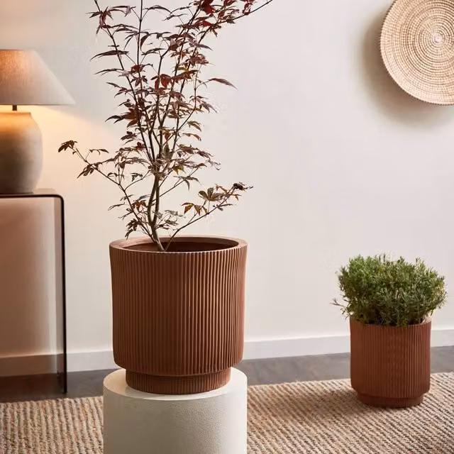 Wyld and Coco Taupe Fibre Clay Planter, Brown, Height: 37 cm