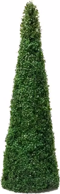 Primrose Artificial Buxus Topiary Cone Tree in Green