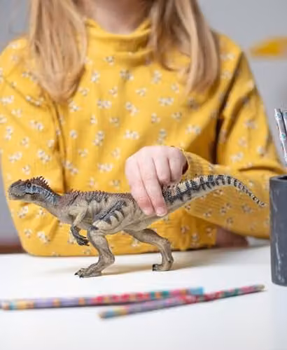 Papo Jurassic Collection Allosaurus Dinosaur Toy Figure in Black and Multicolour – 2