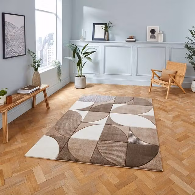 Terrys Modern Geometric Rectangular Rug in Beige and Brown