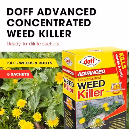 Doff Advanced Concentrated Weedkiller 6 x 0.1 l Sachets in Yellow and Multicolour – 2
