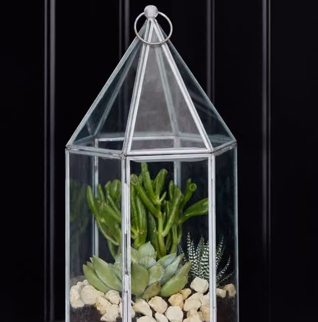 Ivyline Glasshouse Terrarium Planter in Silver, H: 36 cm x W: 18 cm