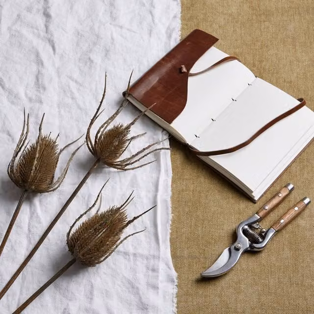 Lemon Pavilion Large Triple Teasle Stem in Brown Plastic, Height: 85 cm – 1